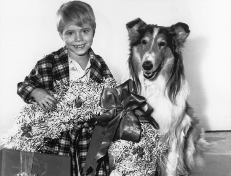 A Lassie Christmas With Jon Provost 