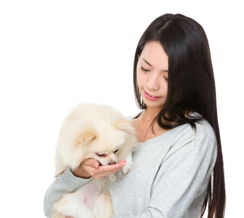 Woman loving a Pomeranian dog