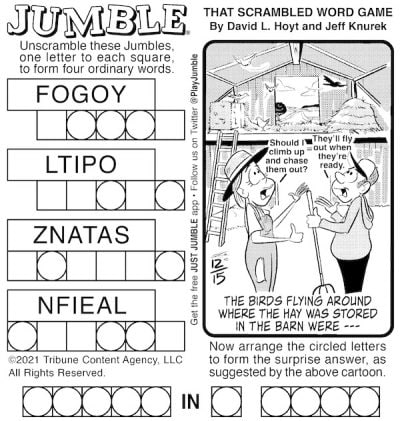 Jumble for Kids and Adults: Wood and Pesky Birds | BOOMER Magazine