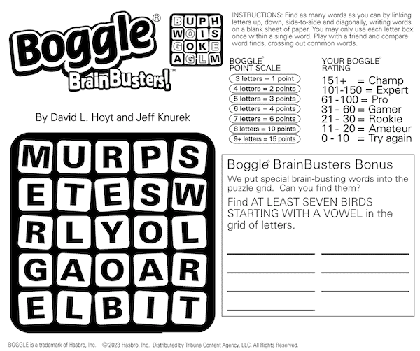 Boggle the Birdies - word search puzzle 