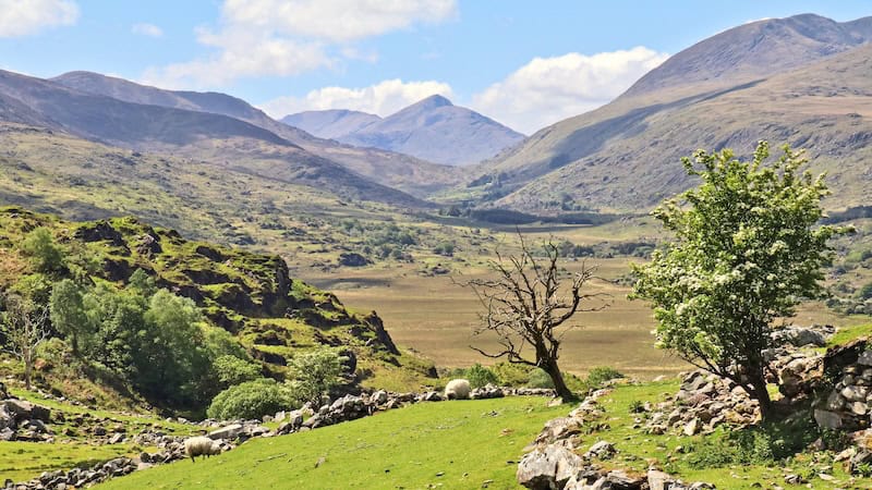 A drive along the Ring of Kerry presents classic views of the Irish countryside. (Pat O'Connor, Rick Steves' Europe)