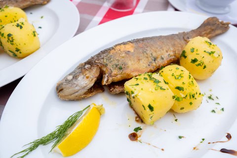 Fresh Hallstatt trout and potatoes recipe on the white dish at Hallstatter See or Lake Hallstatt, a lake in the Salzkammergut, Austria. Credit: Sitthipong Pengjam.