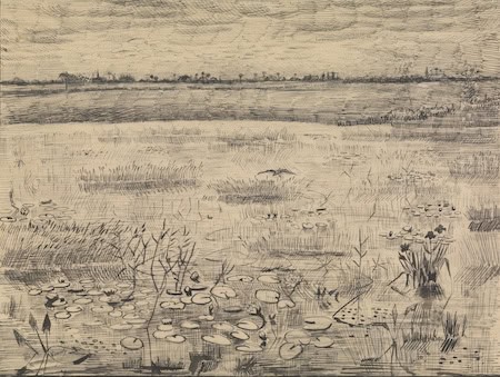 Marsh with Water Lilies, Etten, 1881, Vincent van Gogh (Dutch, active in France, 1853–1890), pen and India ink on wove paper with graphite underdrawing. Virginia Museum of Fine Arts, Collection of Mr. And Mrs. Paul Mellon, 85.777