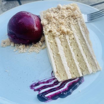 Peanut Butter Cake with Berry Sorbet - like a PB&J! By Kari Smith, part of her birding retreat in Columbia, MD