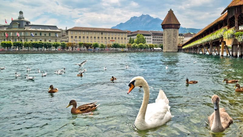 : Luzern’s Reuss River is spanned by the wooden Chapel Bridge, with its iconic stone water tower. CREDIT: (Dominic Arizona Bonuccelli, Rick Steves’ Europe).