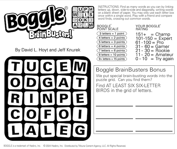 Boggle the Birds: A boggle cube word search puzzle, including six-letter bird names hidden in the scrambled letters