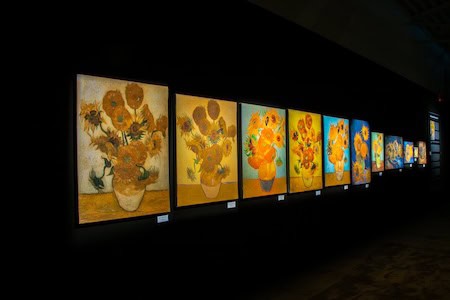 Sunflowers series by Vincent van Gogh, part of Van Gogh: The Immersive Experience