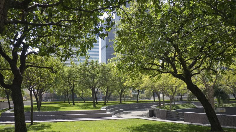 An urban park demonstrates the benefits of green spaces for health. Image by Brian Green