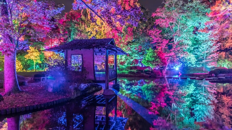 Garden Glow at Maymont, image by Dave Parrish. Used with What's Booming, October 10 to 17, 2024