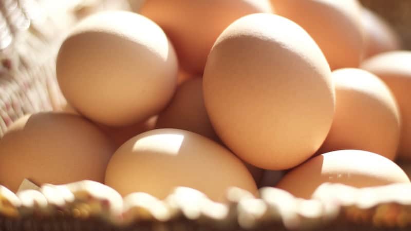 A basket of brown eggs, image by Distinctivedesign. Article on the exceptional egg, for versatility and health