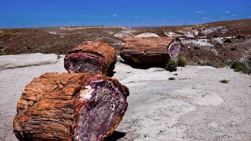 Massive slabs of petrified wood in the Crystal Forest at Petrified Forest National Park - Nick Thomas