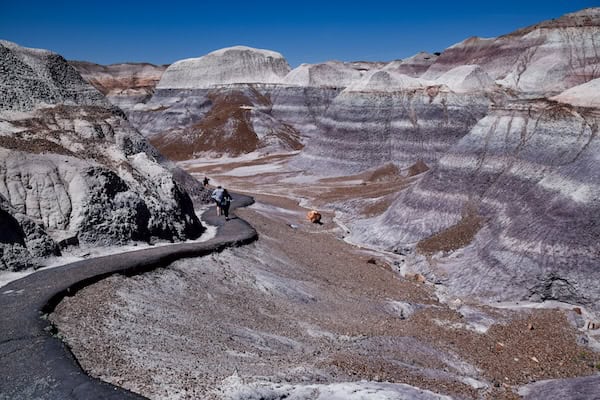 Trail leading down into the badlands of the Blue Mesa Trail at Petrified Forest National Park. CREDIT: Nick Thomas