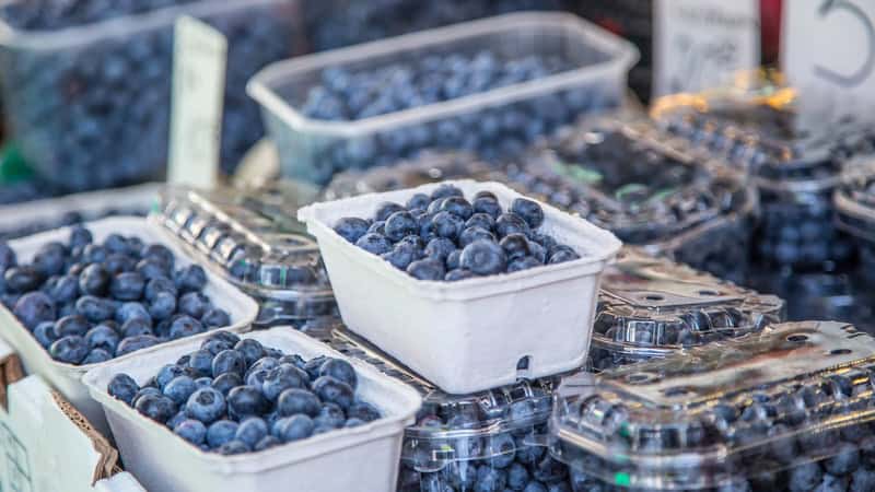 blueberries in containers for shoppers to purchase. Image by Marian Vejcik