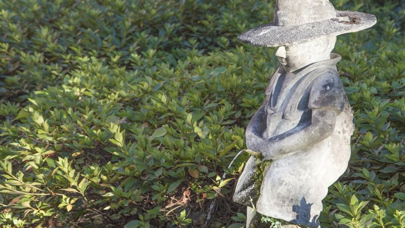 A statue using the garden as a bathroom. Image by Alan Piscaglia