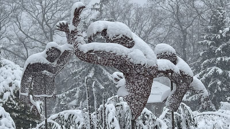 Rich Soil exhibition in the snow, at Lewis Ginter Botanical Garden, Richmond. Image by artist Kristine Mays. Used in What's Booming, January 16 +